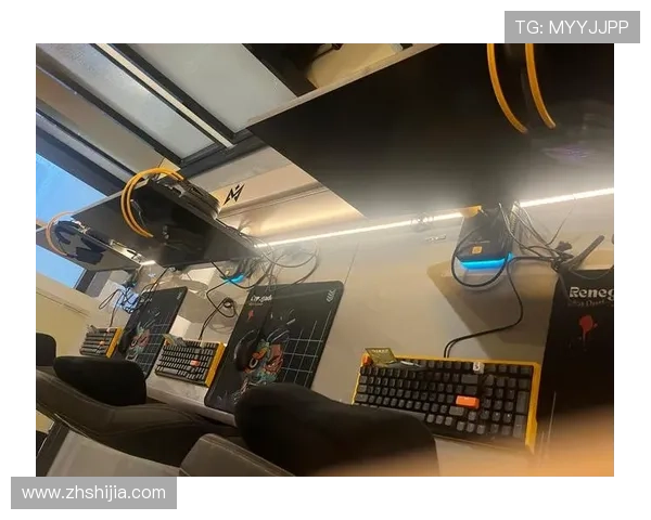 《2025年全球电竞市场持续扩展 中国电竞产业迎来新机遇与挑战》 《2025年全球电竞市场持续扩展 中国电竞产业迎来新机遇与挑战》